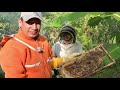La Apicultura Colombiana 2021
