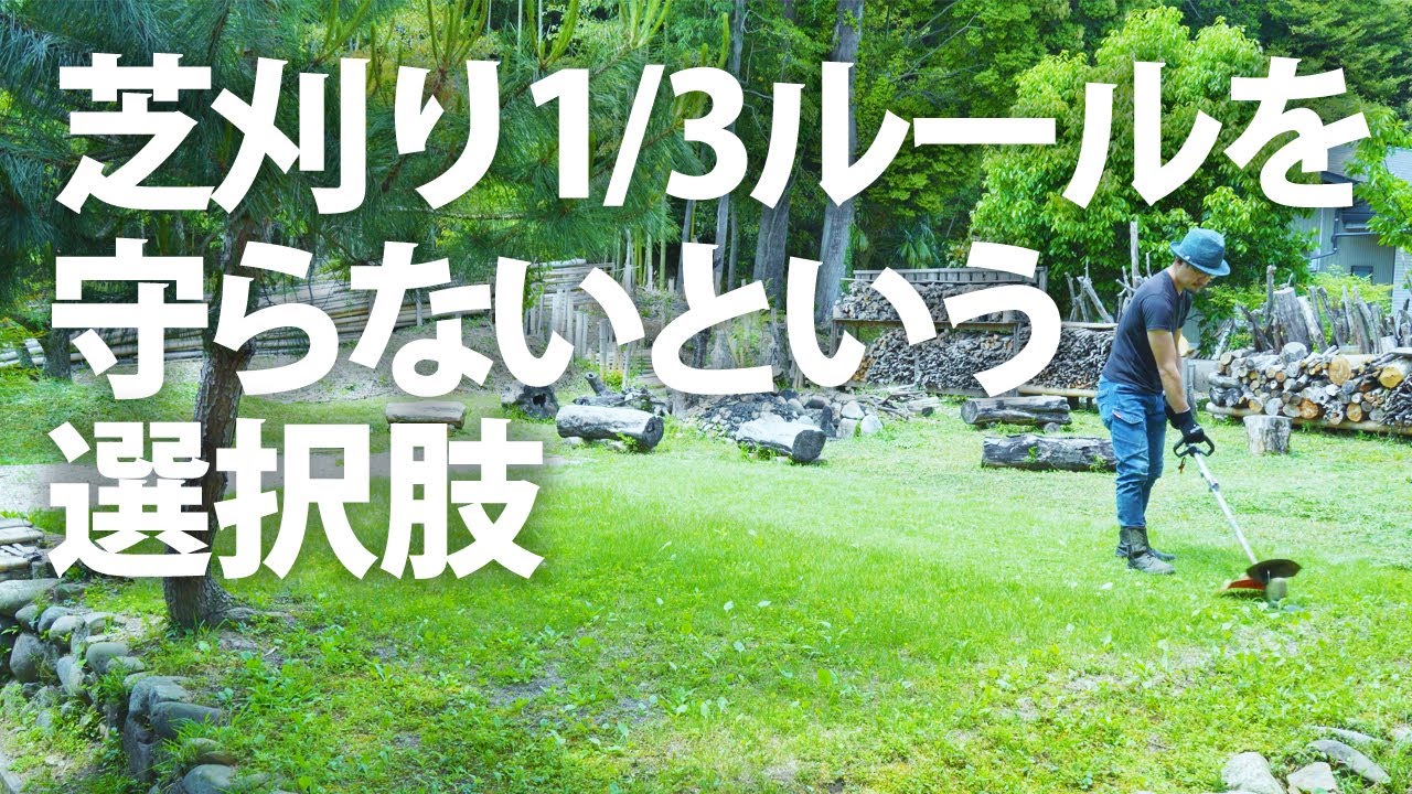 芝刈り 伸びすぎた芝を草刈機で刈る 1 3ルールを守れない現状の芝生管理 田舎暮らし Youtube