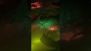 In Disneyland Paris there be dragons… #disneyland #disneylandparis #shorts #sleepingbeautycastle