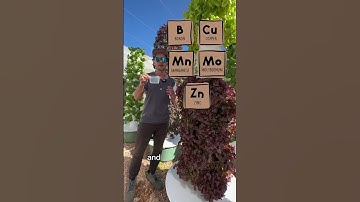 No soil, no problem! #Hydroponic and #aeroponic crops are just as nutrient-dense. #verticalfarming