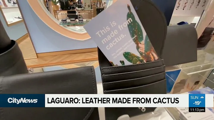 Laguaro - a sustainable leather made from cactus