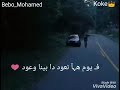 حالات واتس في يوم هنعود عمرو دياب❤🌸