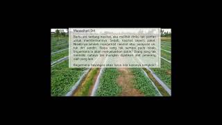 Download Lagu tidak pantas memberi nasehat#therian #katabijak #nasehatislami #nasehatdiri MP3 Download Lagu tidak pantas memberi nasehat#therian #katabijak #nasehatislami #nasehatdiri MP3