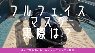 【石垣島の海】フルフェイスのマスク、実際はどうなの？11月19日　シュノーケリングツアーの動画
