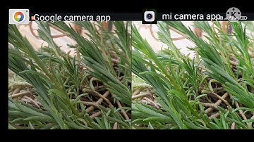 Redmi note 8 Gcam vs stock camera comparison.