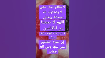 آيات بينات من الذكر الحكيم #quran #قران #explore #قرانكريم #القرآن_الكريم #اكسبلور