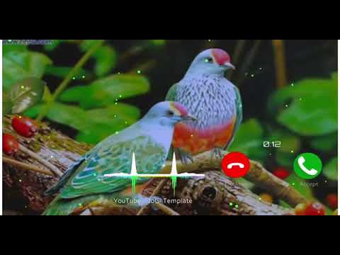 new-bansuri-ringtone-||-new-flute-music-ringtone-||-new-ringtone-2020-||-hindi-ringtone