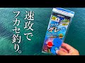 【誰でも簡単！】本格的なフカセ仕掛けが一瞬で組める便利セットで堤防釣りをしてみた！