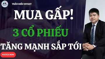 MUA GẤP! Top 3 Cổ Phiếu Tăng Mạnh Sắp Tới – Cơ Hội Không Lặp Lại!