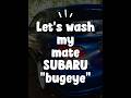 Washing My Subaru Bugeye at Home 🚙💦 #SubaruBugeye #subaruwrx ,#carwash  #cardetailing  #jdm