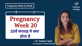 20th week of Pregnancy -Pregnancy week by week in hindi| Dr. Pallavi | Femcare Fertility