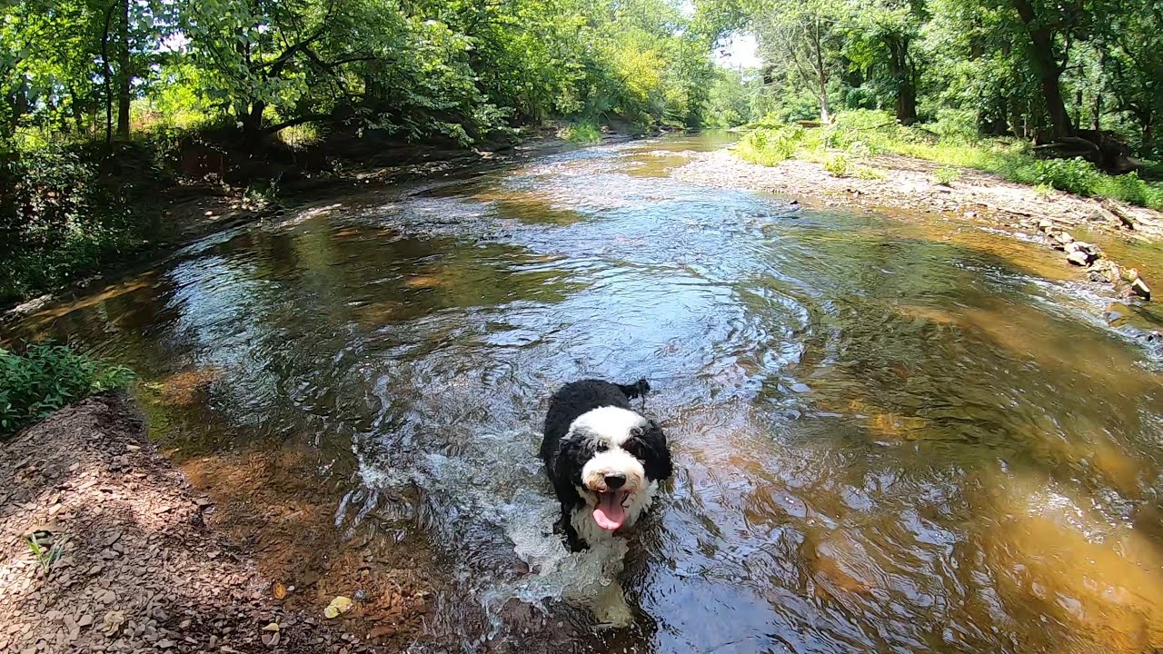 Hike at Skippack Creek - Evansburg State Park - Collegeville, PA - GoPro