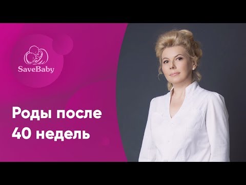 Роды после 40 недель. Елена Никологорская. Акушер-гинеколог. СПб