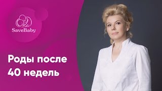 Роды после 40 недель. Елена Никологорская. Акушер-гинеколог. СПб