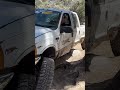 Ford F350 John Bull Big Bear