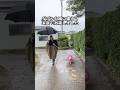 ダブル台風に備えて家族で対策しました