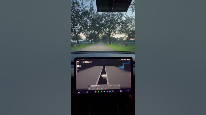 Tesla Sees Ghosts at Cemetery #ghost #tesla #paranormal #scary #fsd #automobile #cars #car #luxury