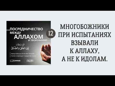 12. Многобожники при испытаниях взывали к Аллаху, а не к идолам || Сирадж Абу Тальха