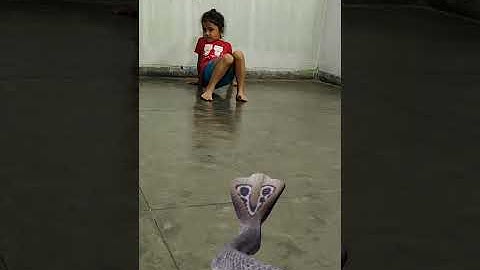 #shorts nagin video | nagin effect #kinemaster editing #greenscreen #youtubeshorts #vfx nagin songs