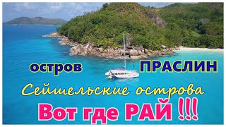 🔴Остров Праслин🔴Дрон🔴Уникальные съемки🔴Полет над островом, с высоты🔴Крутой вид с верху🔴Seychelles🔴