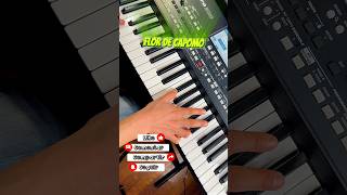 Flor de Capomo #elcoyotemusic#moviditas#teclados #Bailar