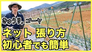 【家庭菜園】キュウリやゴーヤなどのツル野菜用の支柱とネットの建て方【棚支柱セットで初心者でも簡単らくらく】