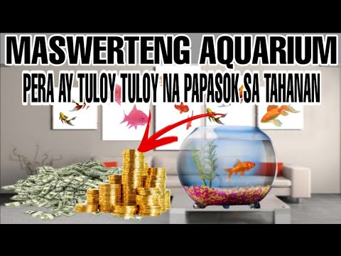 Video: Isda Ng Aquarium At Ang Kanilang Pangangalaga