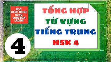 Tổng Hợp Từ Vựng Tiếng Trung HSK 4 - Phần 4 | Tự Học Tiếng Trung Online | Long Rùa Laoshi