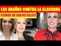 Este es el Pleito Cazado Entre Maxine Woodside y Ana María Alvarado Contra Raquel Bigorra