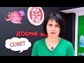 Как делают плавленый сыр? Ликбез от эксперта по контролю за качеством