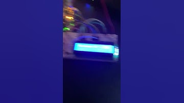 CSC 2463 Analog Project