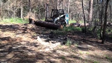 Moving log to sawmill with Bobcat