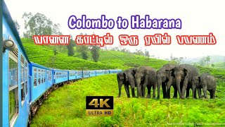 🇱🇰 Adventure Colombo to Habarana Forest Train Journey | 4K UHD | Jolly Trip