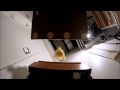 A 3-D Printed Functionally Graded Soft Robot