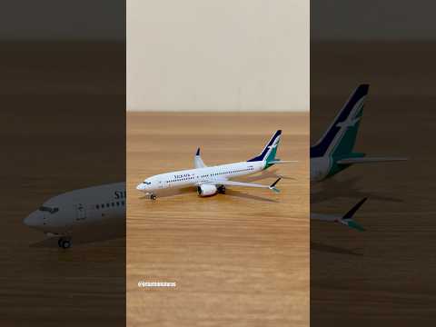 SilkAir 737 MAX