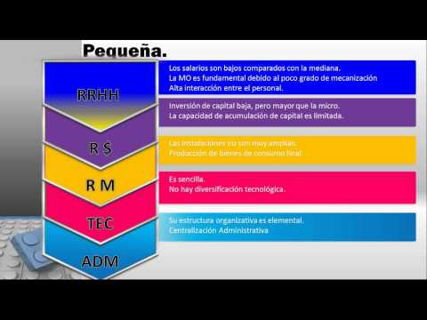 Clasificación y Carcacterísticas de las Pymes