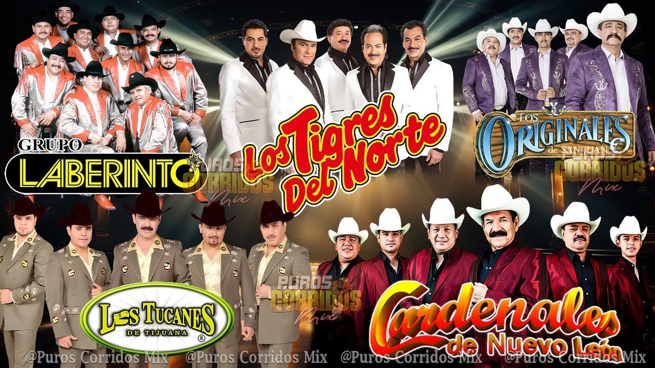 Cardenales de Nuevo León, Grupo Laberinto, Los Tigres Del Norte, Los Tucanes,..y Mas - Corridos Mix
