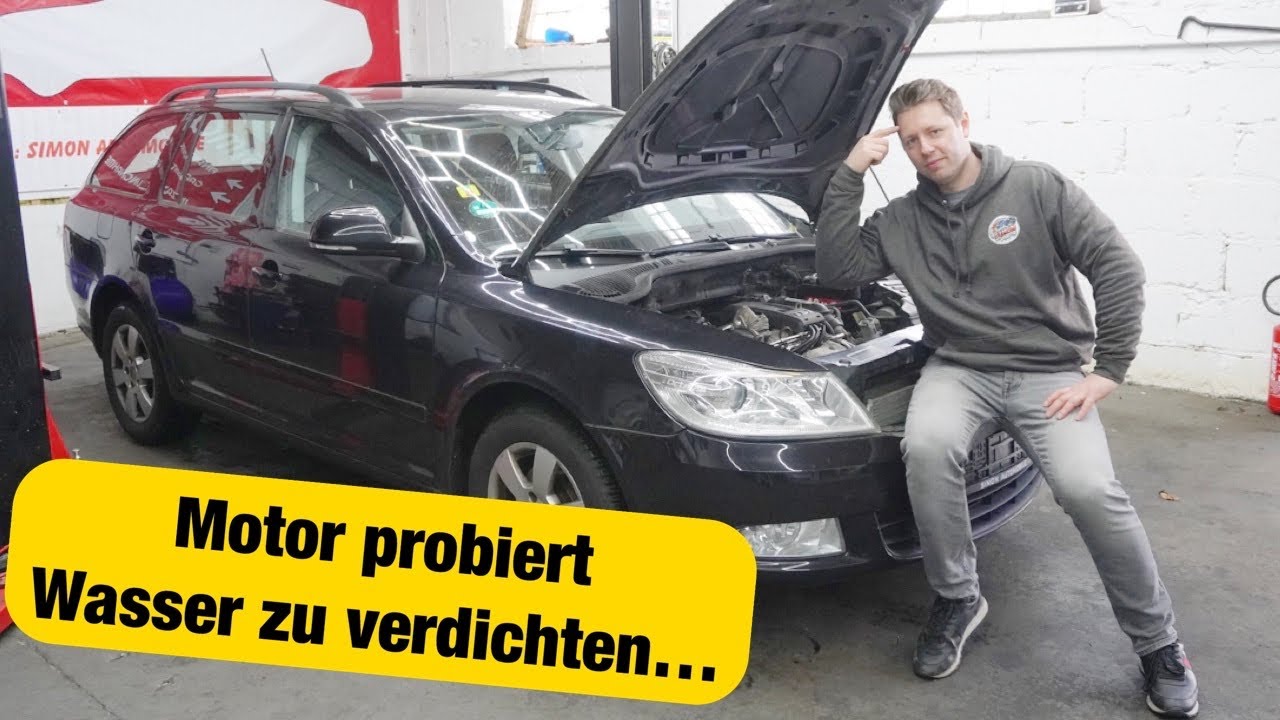 Werkstatt behauptet 