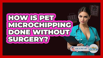 How Is Pet Microchipping Done Without Surgery? - Ask A Pet Vet