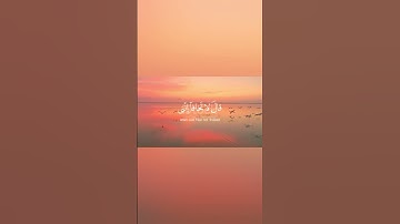 {قَالَ لَا تَخَافَآ ۖ إِنَّنِى مَعَكُمَآ أَسْمَعُ وَأَرَىٰ }سورة طه الاية  46