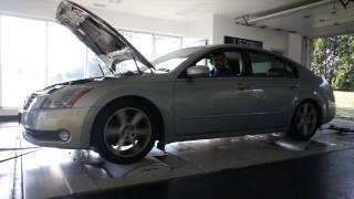 2005 Nissan Maxima | Tuned By Smokey's Dyno & Performance