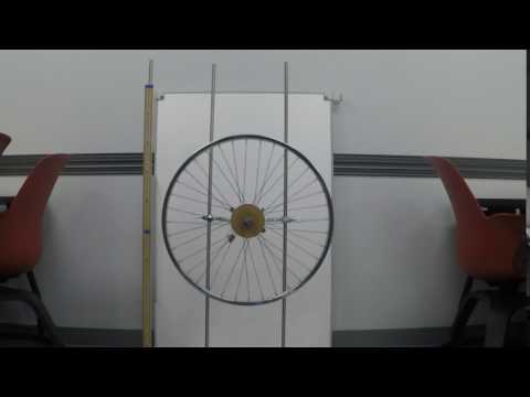 Logger pro video Spinning wheel.
