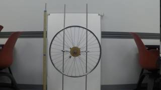 Details Logger pro video Spinning wheel. Update