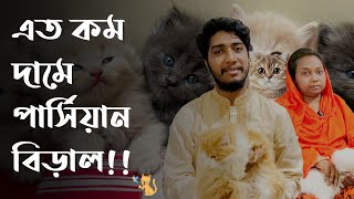 কম দামে পার্সিয়ান বিড়াল কিনুন || Persian Cat Price || Pet House BD