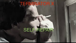 Holley Terminator X self testing and redneck checks