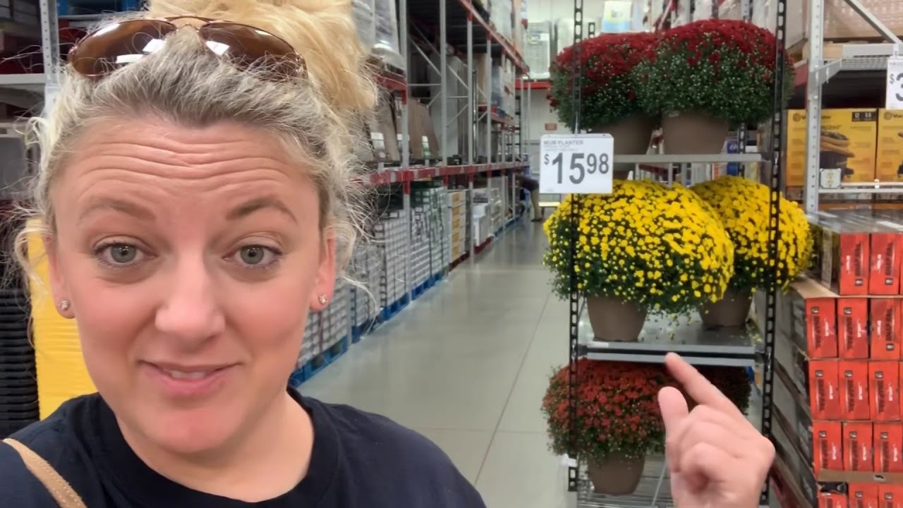 Sam’sTrip with Levi This is our life Pine Knot Family Farm Vlog YouTube