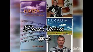 Colaj* Puiu Chibici acordeon #4