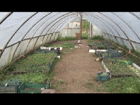 ბიომეურნეობა ფოთში 15 04 20