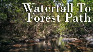 Semi-Silent Hike on the Waterfall to Forest Path in The Royal Nation Park REMASTERED