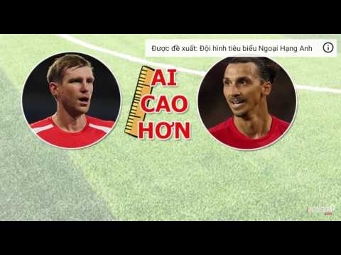 Đoán chiều cao cầu thủ